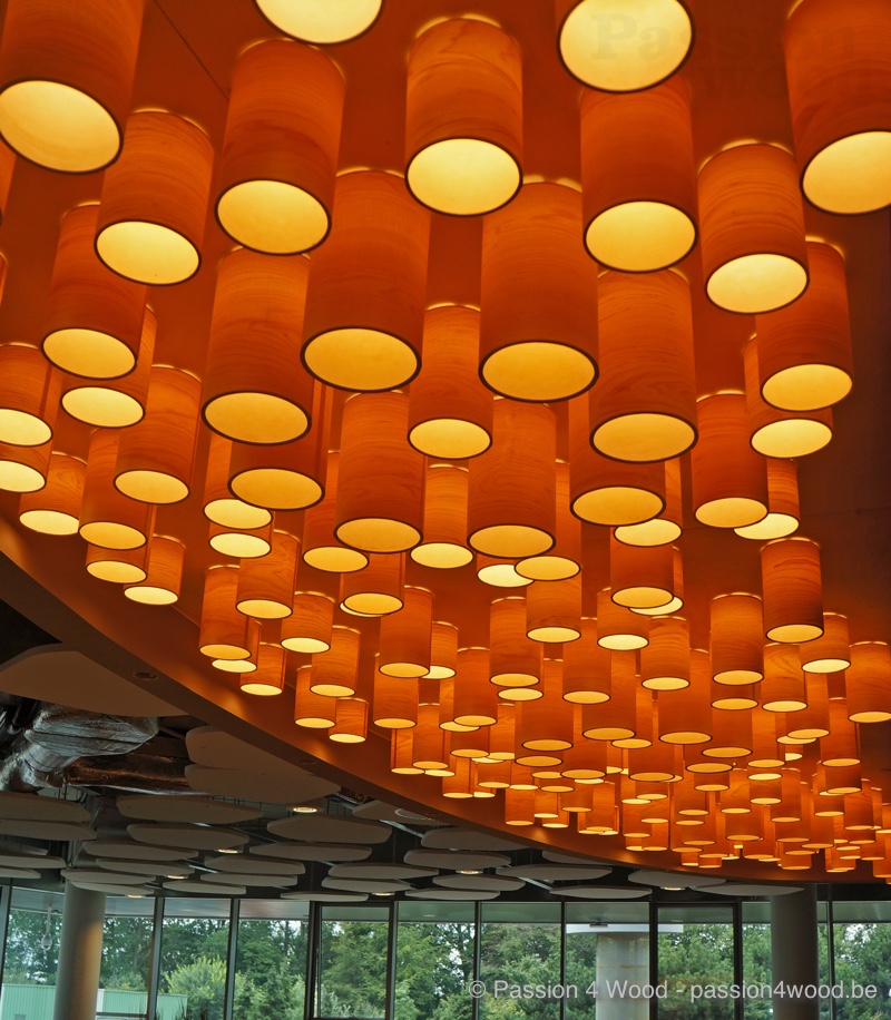 Kaa Gent Ghelamco lounge - Bar - more than 200 tube lamps mounted as ceiling lights giving a fantastic sculptural experience 2